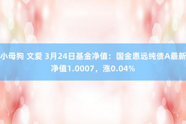 小母狗 文爱 3月24日基金净值：国金惠远纯债A最新净值1.0007，涨0.04%