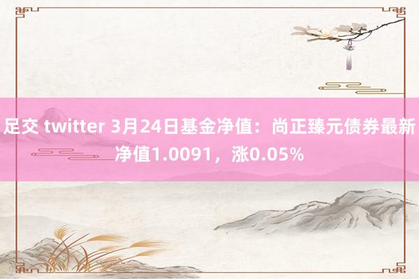 足交 twitter 3月24日基金净值：尚正臻元债券最新净值1.0091，涨0.05%
