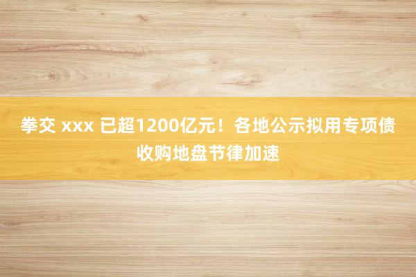 拳交 xxx 已超1200亿元！各地公示拟用专项债收购地盘节律加速