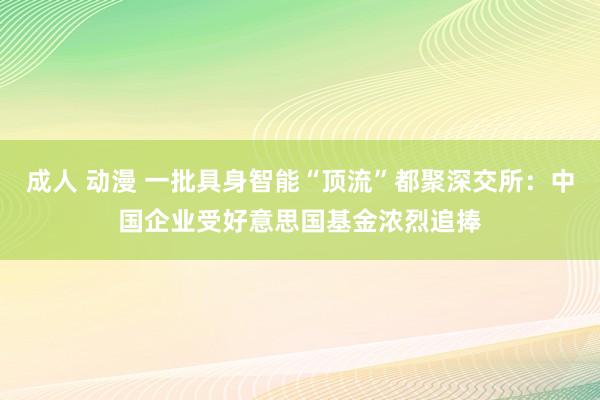 成人 动漫 一批具身智能“顶流”都聚深交所：中国企业受好意思国基金浓烈追捧