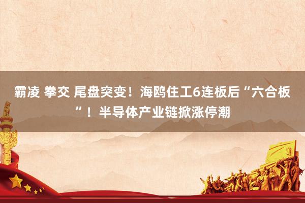 霸凌 拳交 尾盘突变！海鸥住工6连板后“六合板”！半导体产业链掀涨停潮