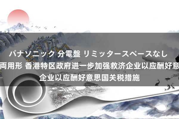 パナソニック 分電盤 リミッタースペースなし 露出・半埋込両用形 香港特区政府进一步加强救济企业以应酬好意思国关税措施