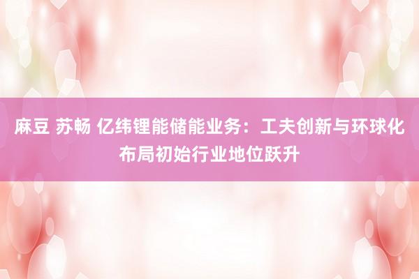 麻豆 苏畅 亿纬锂能储能业务：工夫创新与环球化布局初始行业地位跃升