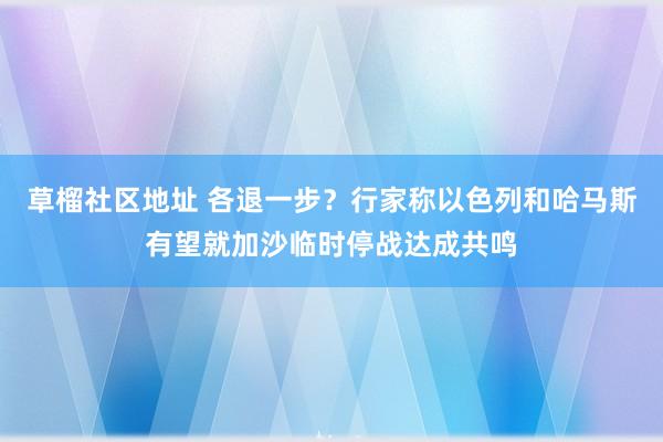 草榴社区地址 各退一步？行家称以色列和哈马斯有望就加沙临时停战达成共鸣