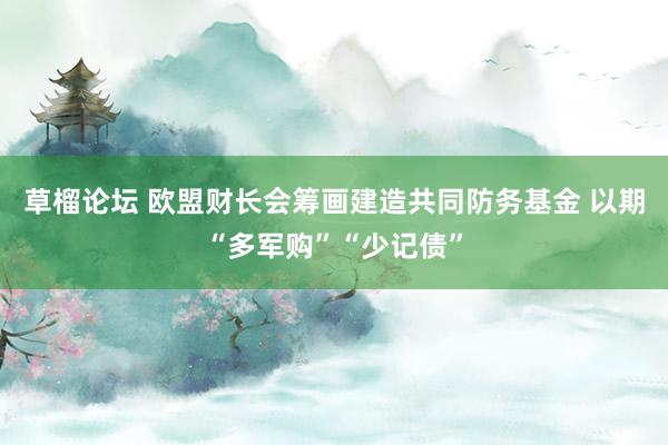 草榴论坛 欧盟财长会筹画建造共同防务基金 以期“多军购”“少记债”