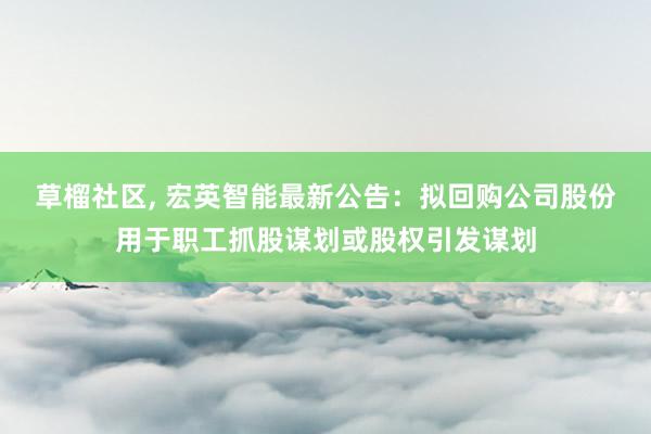 草榴社区， 宏英智能最新公告：拟回购公司股份用于职工抓股谋划或股权引发谋划