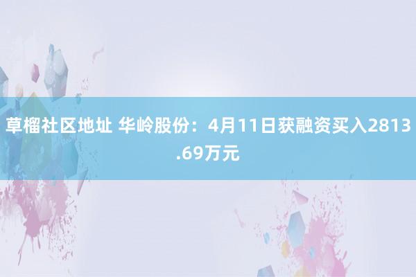 草榴社区地址 华岭股份：4月11日获融资买入2813.69万元