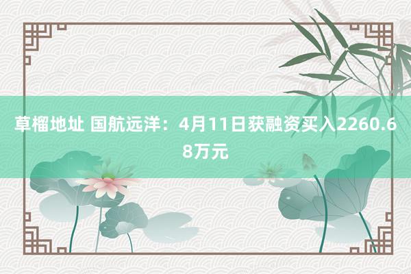 草榴地址 国航远洋：4月11日获融资买入2260.68万元