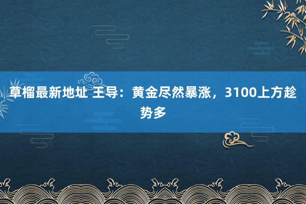 草榴最新地址 王导：黄金尽然暴涨，3100上方趁势多