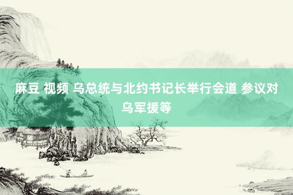 麻豆 视频 乌总统与北约书记长举行会道 参议对乌军援等