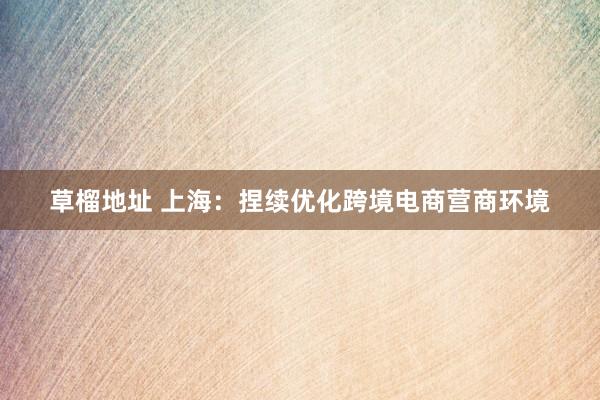 草榴地址 上海：捏续优化跨境电商营商环境