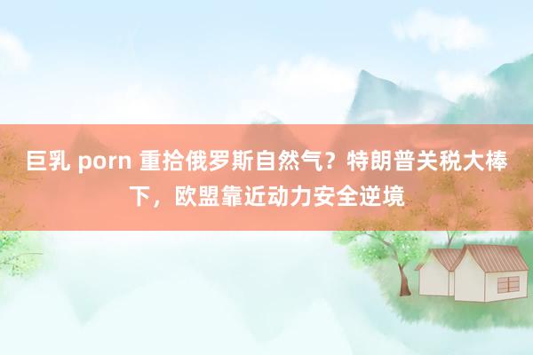巨乳 porn 重拾俄罗斯自然气？特朗普关税大棒下，欧盟靠近动力安全逆境