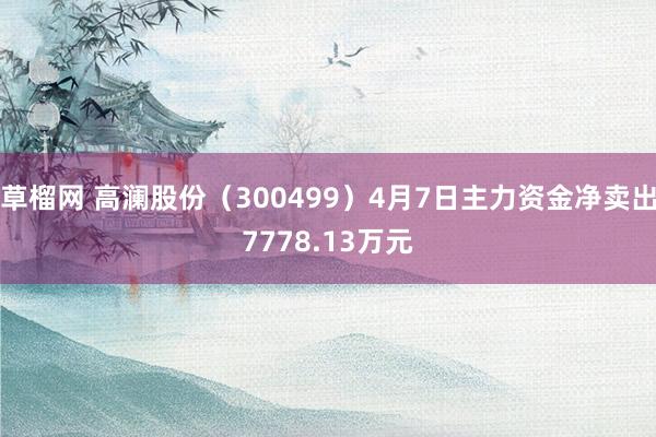 草榴网 高澜股份（300499）4月7日主力资金净卖出7778.13万元