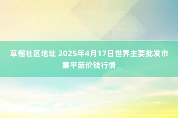 草榴社区地址 2025年4月17日世界主要批发市集平菇价钱行情