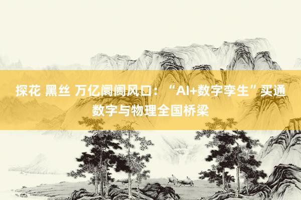 探花 黑丝 万亿阛阓风口：“AI+数字孪生”买通数字与物理全国桥梁
