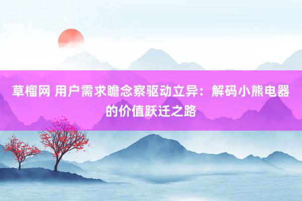 草榴网 用户需求瞻念察驱动立异：解码小熊电器的价值跃迁之路