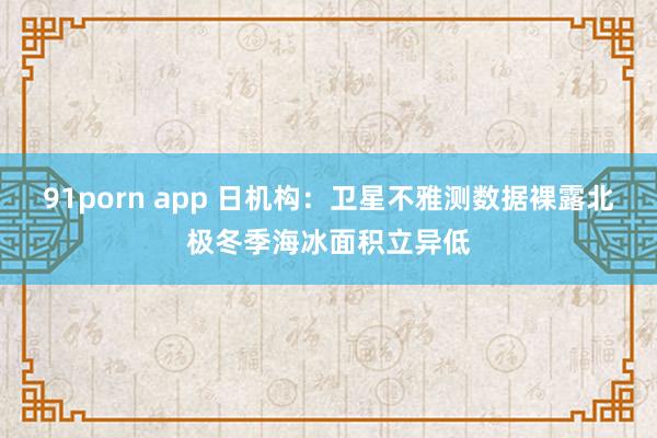 91porn app 日机构：卫星不雅测数据裸露北极冬季海冰面积立异低