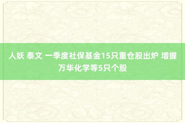 人妖 泰文 一季度社保基金15只重仓股出炉 增握万华化学等5只个股