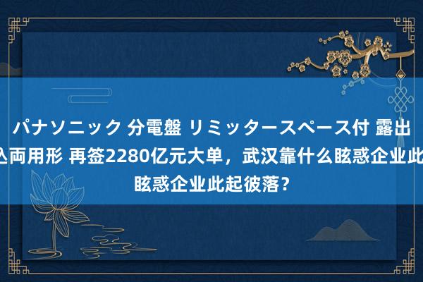 パナソニック 分電盤 リミッタースペース付 露出・半埋込両用形 再签2280亿元大单，武汉靠什么眩惑企业此起彼落？