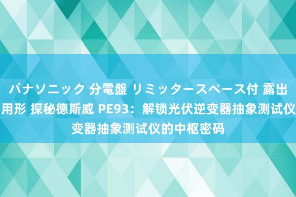 パナソニック 分電盤 リミッタースペース付 露出・半埋込両用形 探秘德斯威 PE93：解锁光伏逆变器抽象测试仪的中枢密码