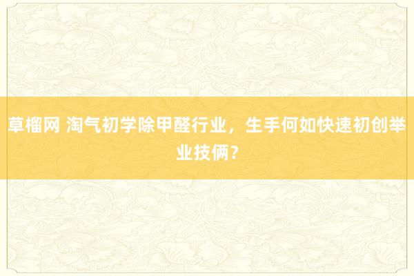 草榴网 淘气初学除甲醛行业，生手何如快速初创举业技俩？