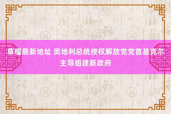 草榴最新地址 奥地利总统授权解放党党首基克尔主导组建新政府