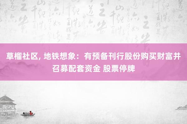 草榴社区， 地铁想象：有预备刊行股份购买财富并召募配套资金 股票停牌