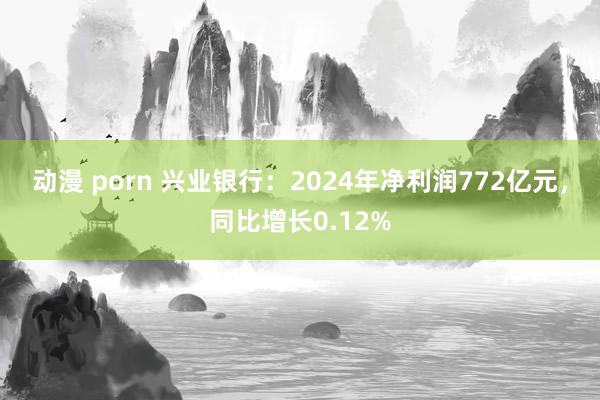动漫 porn 兴业银行：2024年净利润772亿元，同比增长0.12%