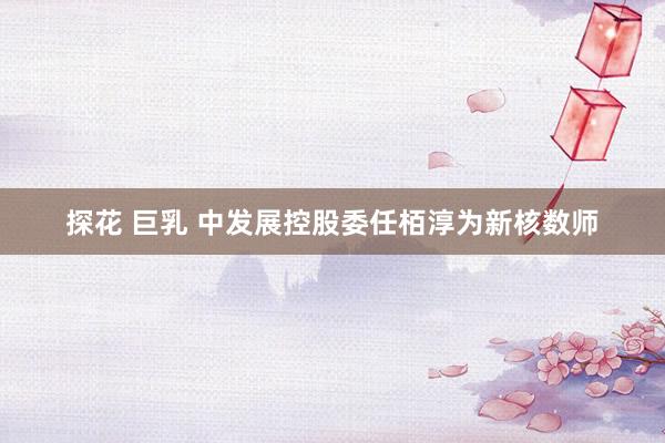 探花 巨乳 中发展控股委任栢淳为新核数师