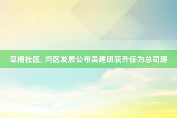 草榴社区， 湾区发展公布吴建明获升任为总司理