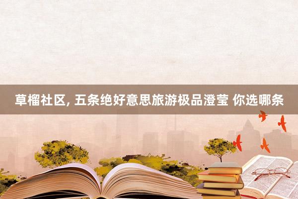草榴社区， 五条绝好意思旅游极品澄莹 你选哪条