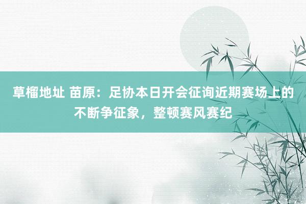 草榴地址 苗原：足协本日开会征询近期赛场上的不断争征象，整顿赛风赛纪