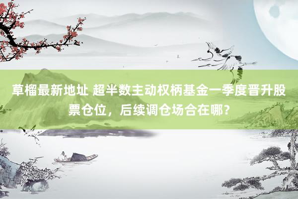 草榴最新地址 超半数主动权柄基金一季度晋升股票仓位，后续调仓场合在哪？