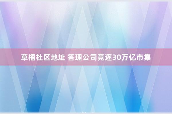 草榴社区地址 答理公司竞逐30万亿市集