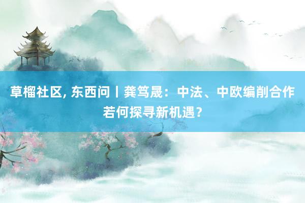 草榴社区， 东西问丨龚笃晟：中法、中欧编削合作若何探寻新机遇？