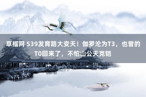 草榴网 S39发育路大变天！伽罗沦为T3，也曾的T0回来了，不怕山公天克铠