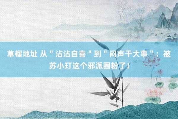 草榴地址 从＂沾沾自喜＂到＂闷声干大事＂：被苏小玎这个邪派圈粉了！